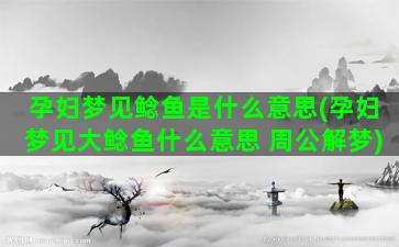 孕妇梦见鲶鱼是什么意思(孕妇梦见大鲶鱼什么意思 周公解梦)